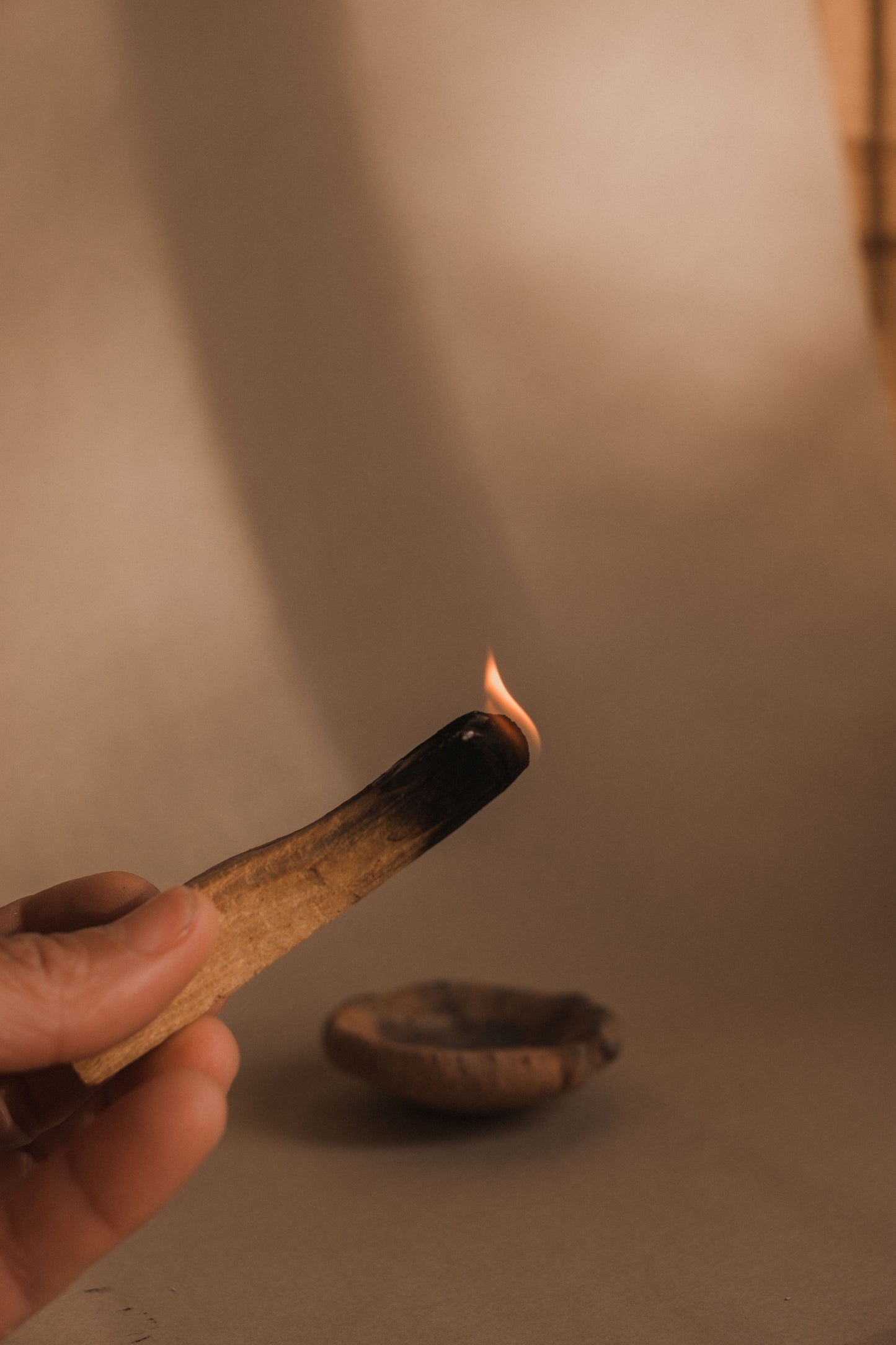 Palo Santo Sticks bundle